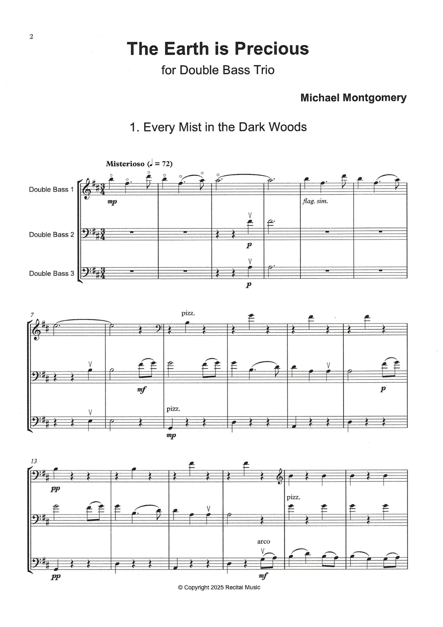 Michael Montgomery: The Earth is Precious for double bass trio