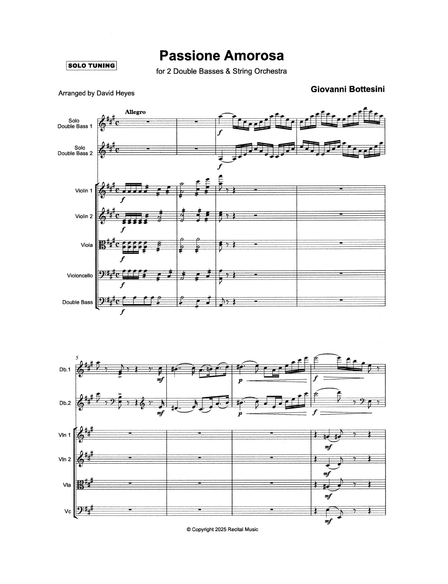 Bottesini: Passione Amorosa for 2 Double Basses & String Orchestra (solo tuning) - arr. Heyes