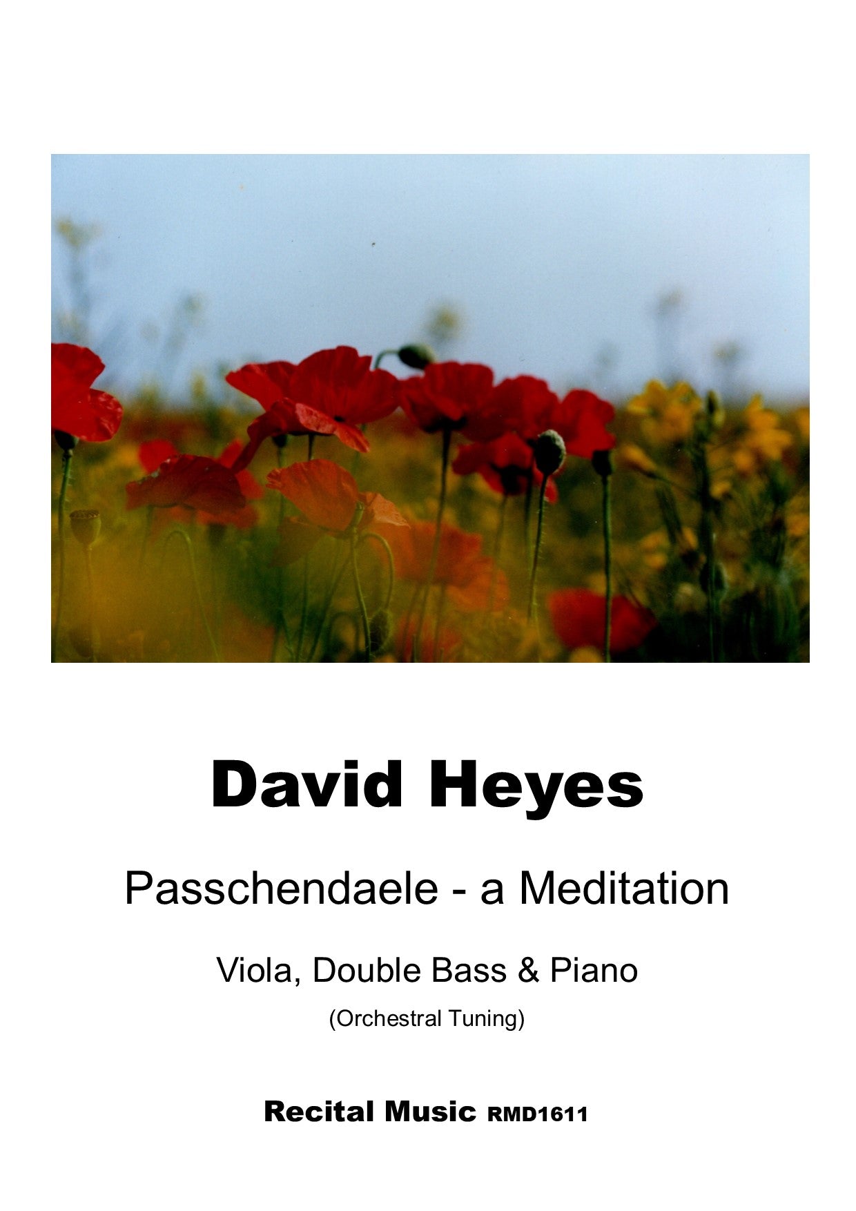 David Heyes: Passchendaele - a Meditation for viola, double bass & piano