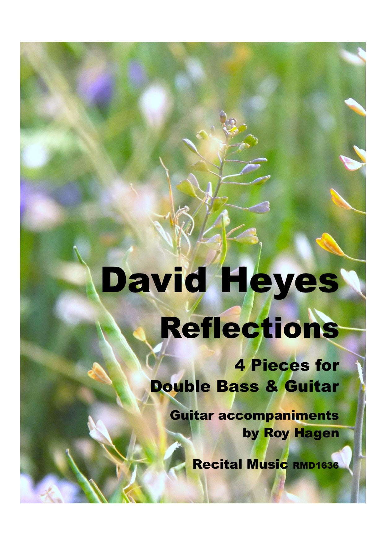 David Heyes: Reflections: Four Pieces for double bass & guitar