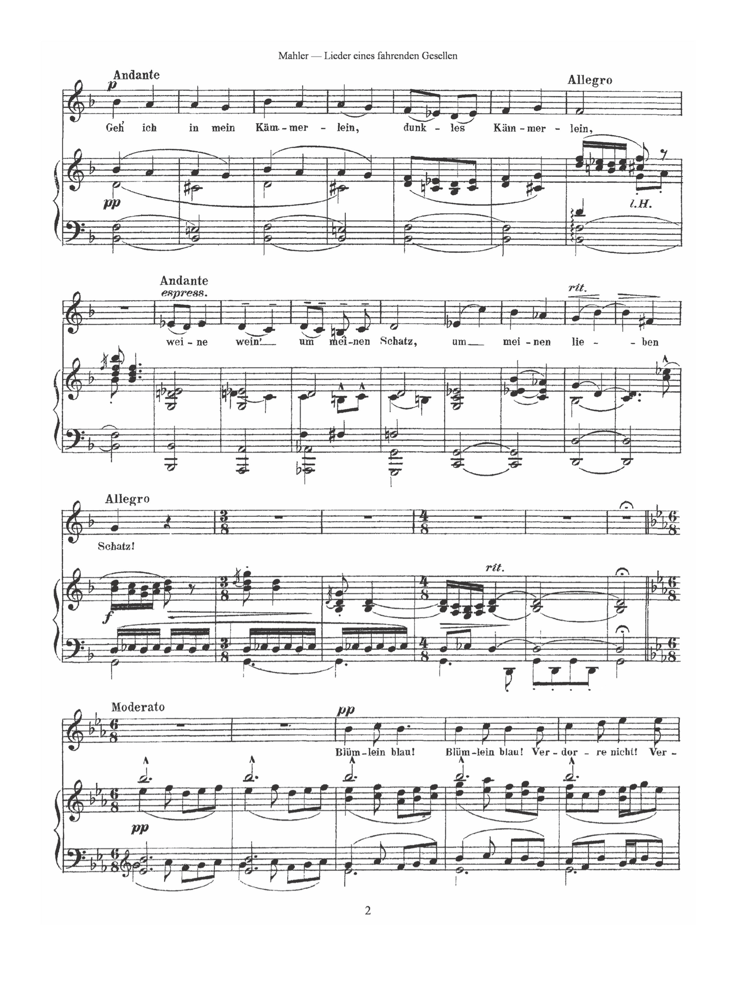 Mahler: Songs of the Wayfarer for double bass and piano (edited by Lucas Drew)
