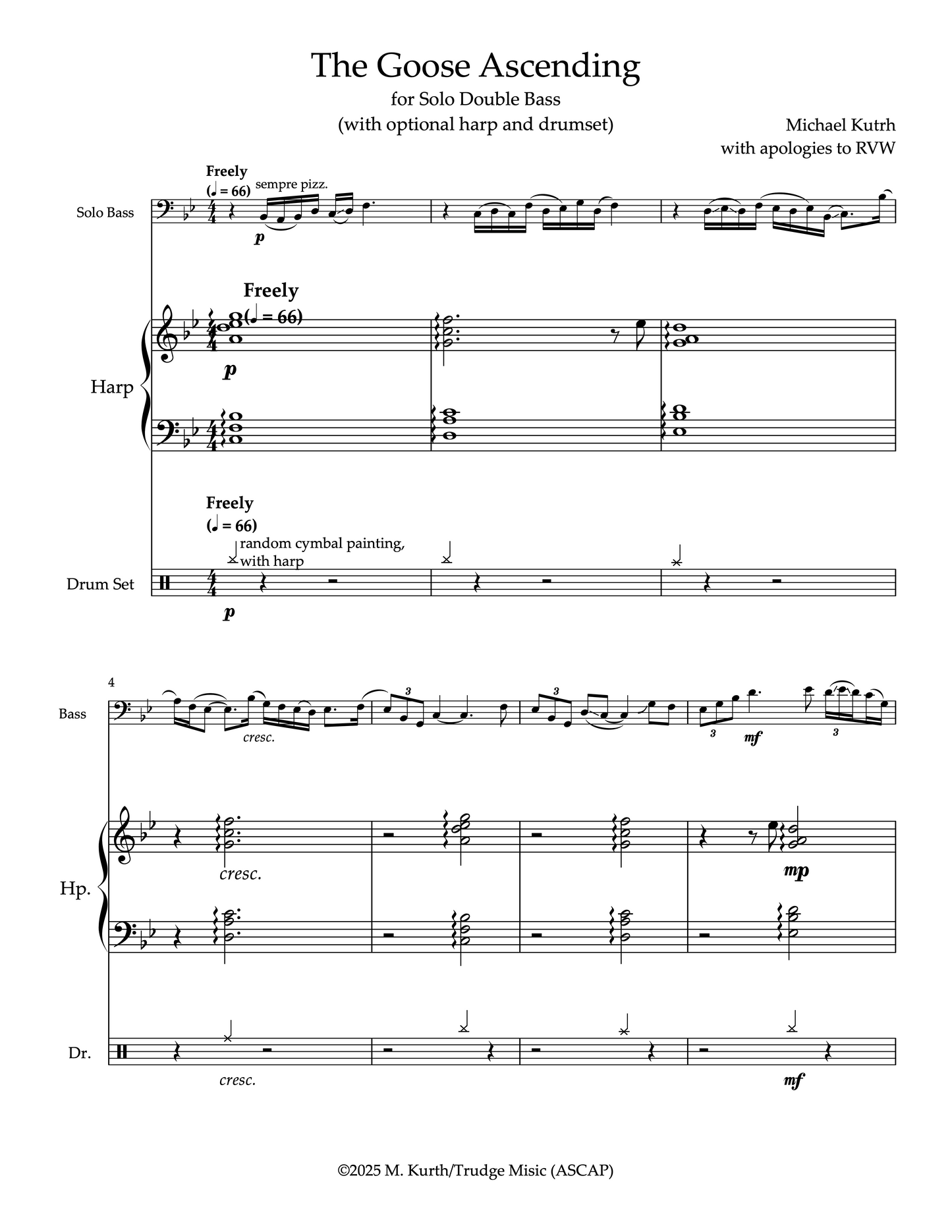 Michael Kurth: The Goose Ascending for Solo Pizzicato Double Bass