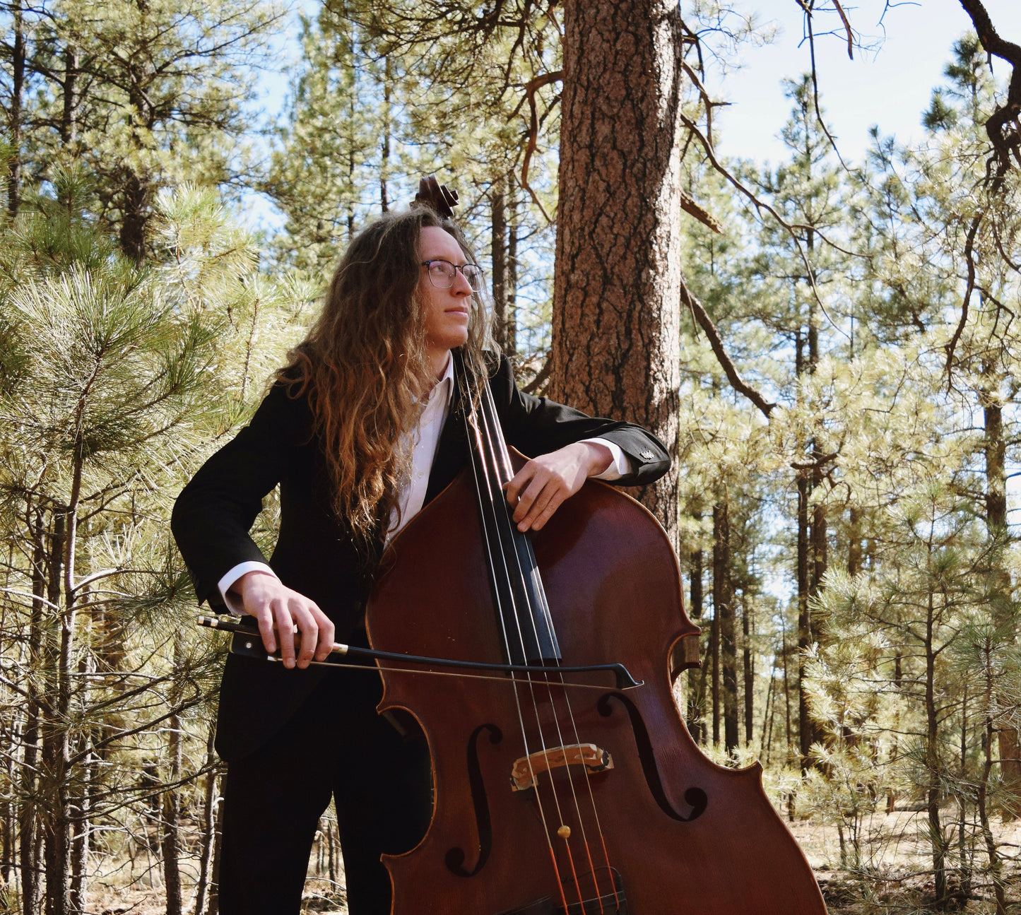 Jason Howard: The Van Suite for solo double bass