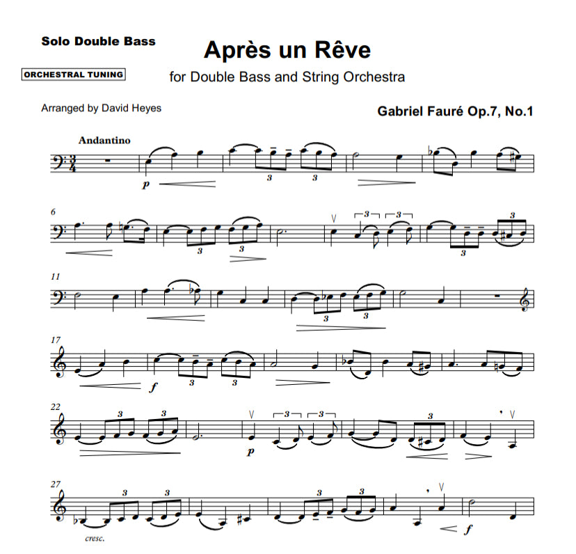 Gabriel Fauré: Après un Rêve for double bass & string orchestra (arr. David Heyes)