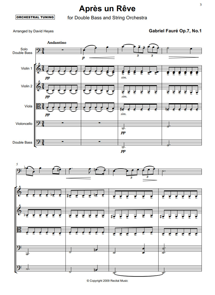 Gabriel Fauré: Après un Rêve for double bass & string orchestra (arr. David Heyes)