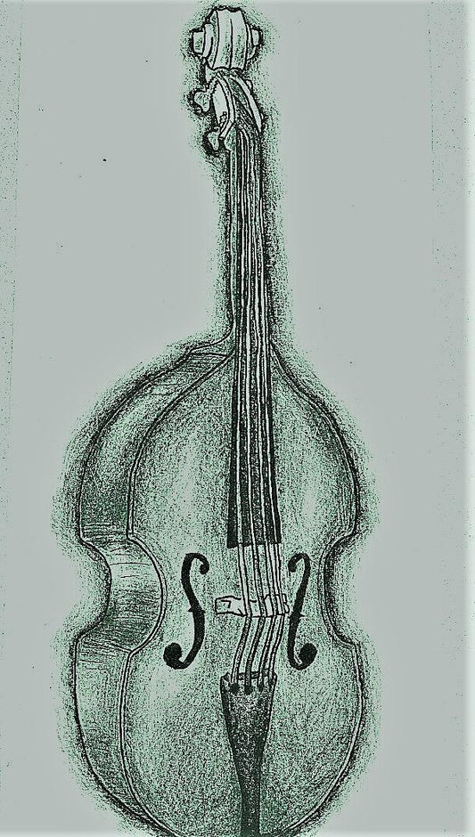 David Heyes: The Adventures of George for Beginner Double Bass