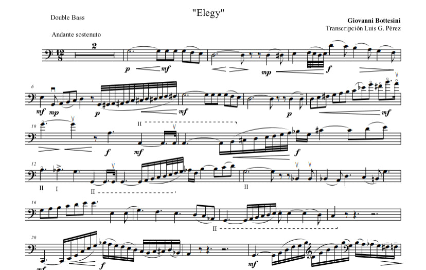 Bottesini: Elegy No. 1 for double bass and guitar (arr. by Luis G. Pérez)