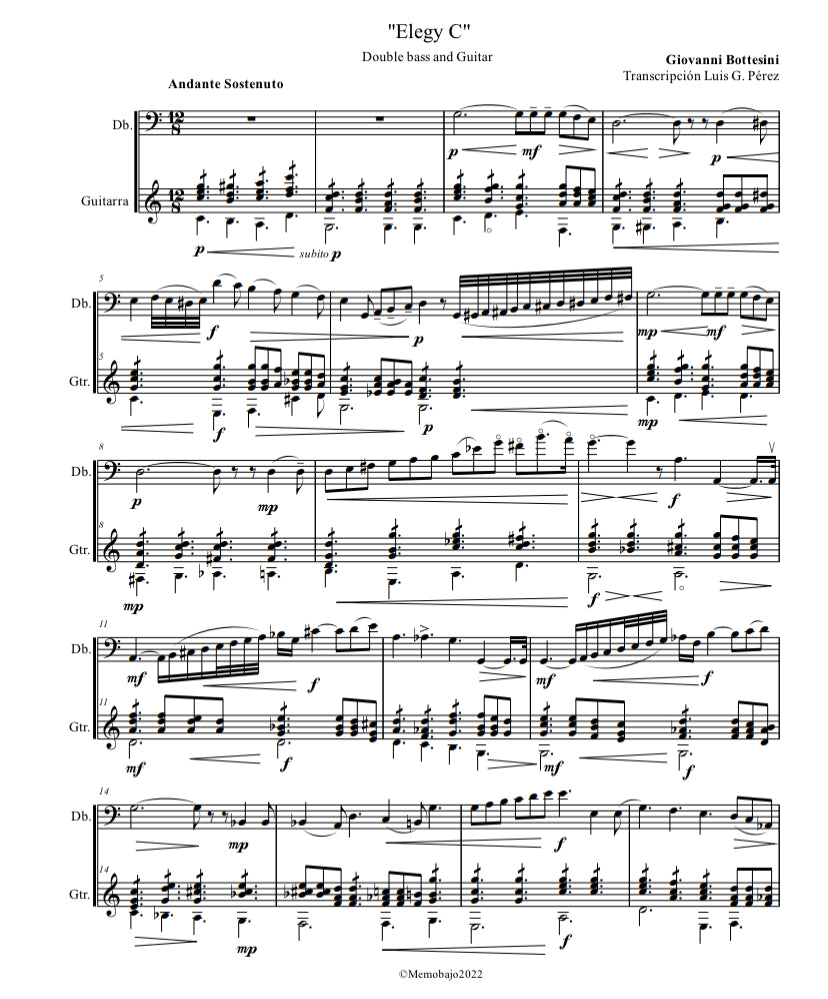 Bottesini: Elegy No. 1 for double bass and guitar (arr. by Luis G. Pérez)