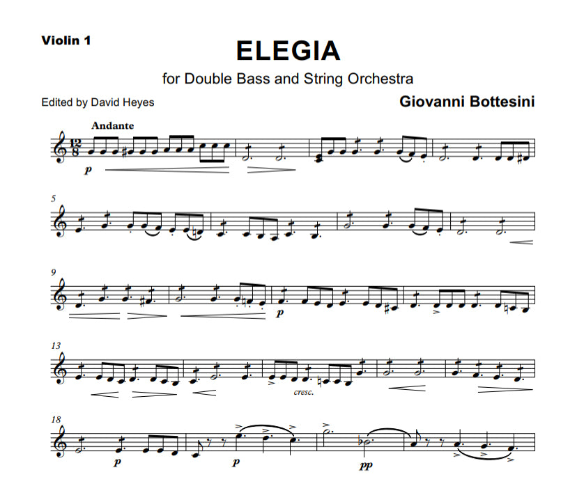 Giovanni Bottesini: Elegia for double bass & string orchestra (Orch Tuning)