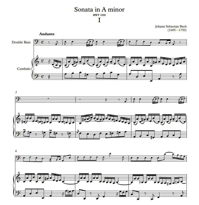 J.S. Bach: Sonata in B Minor for double bass and piano, BWV 1030 (Soteldo)