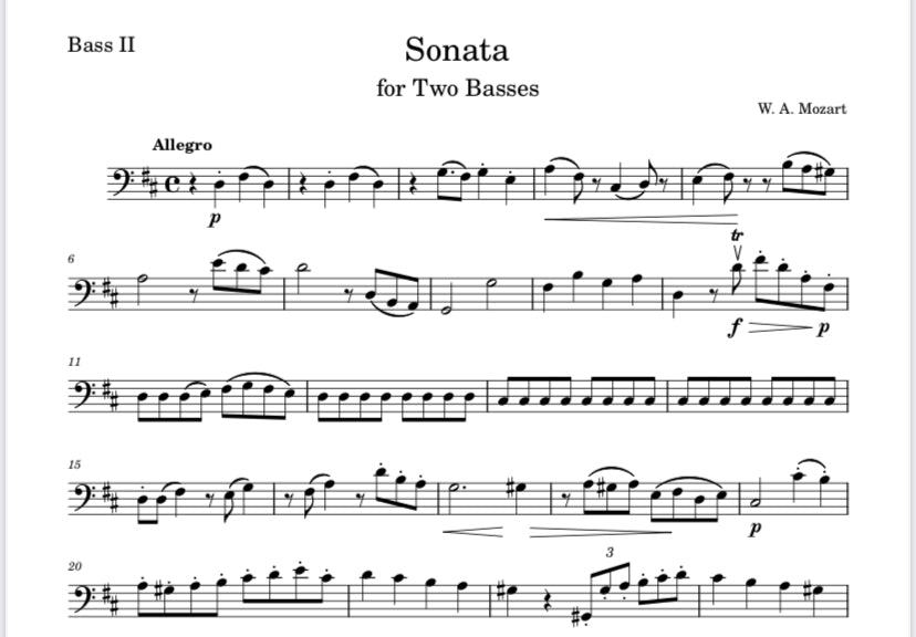 Mozart: Sonata for 2 Basses, K.292 (Tramontozzi & Vinnakota)