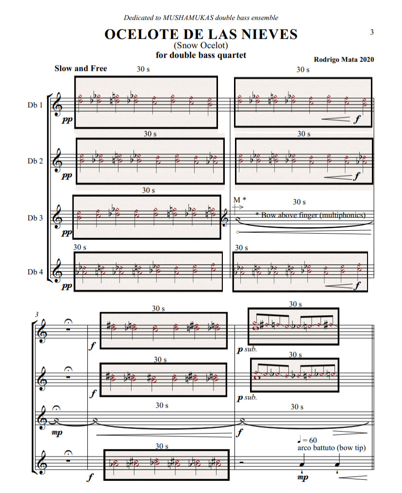 Rodrigo Mata: Ocelote de las Nieves (Snow Ocelot) for double bass quartet