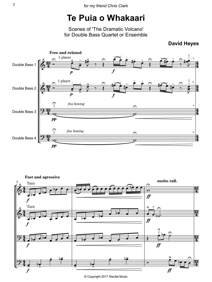 David Heyes: Te Puia o Whakaari 'Scenes of the Dramatic Volcano' for double bass quartet
