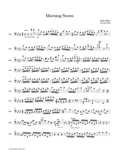 Blake Hilley: Morning Storm for solo double bass