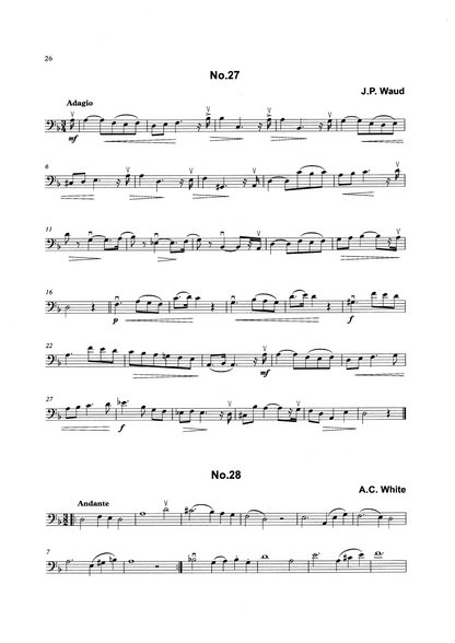 Bass Clef Studies Book 2: 100 Studies in Minor Keys for Double Bass (ed. Heyes)