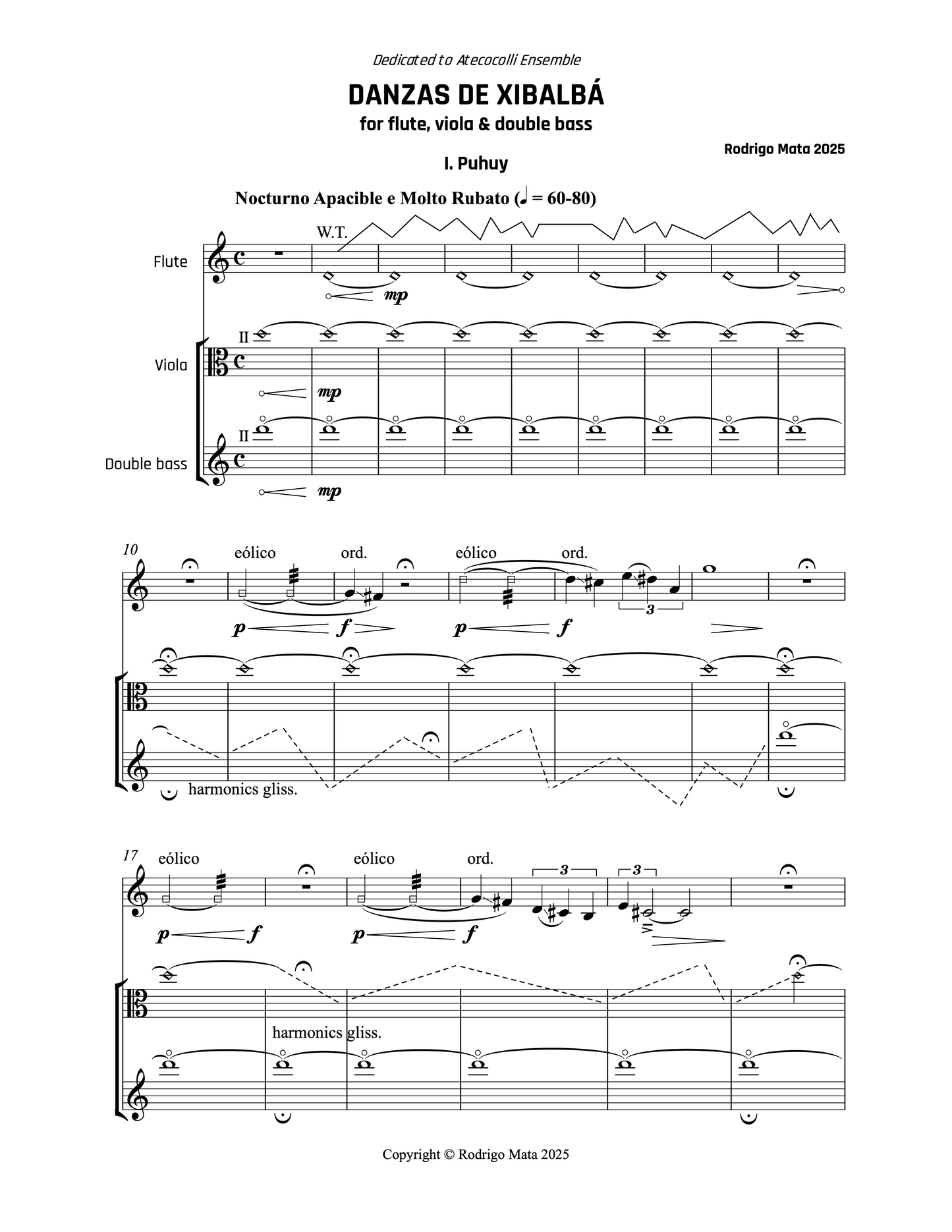 Rodrigo Mata: Danzas de Xibalbá for flute, viola and double bass