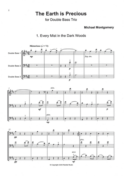 Michael Montgomery: The Earth is Precious for double bass trio