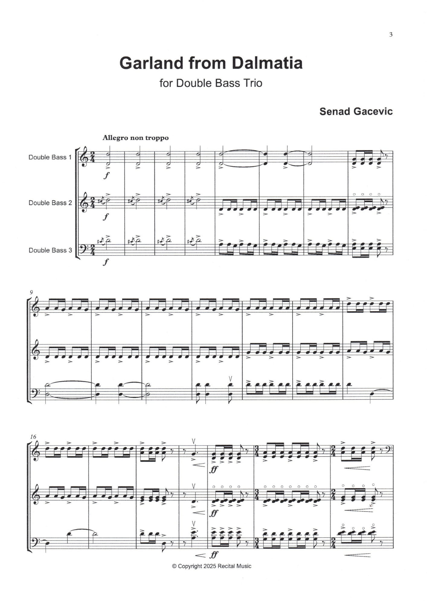 Senad Gacevic: Garland from Dalmatia for double bass trio