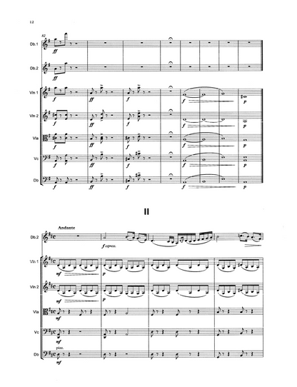 Bottesini: Passione Amorosa for 2 double basses & string orchestra (Orchestral Tuning)