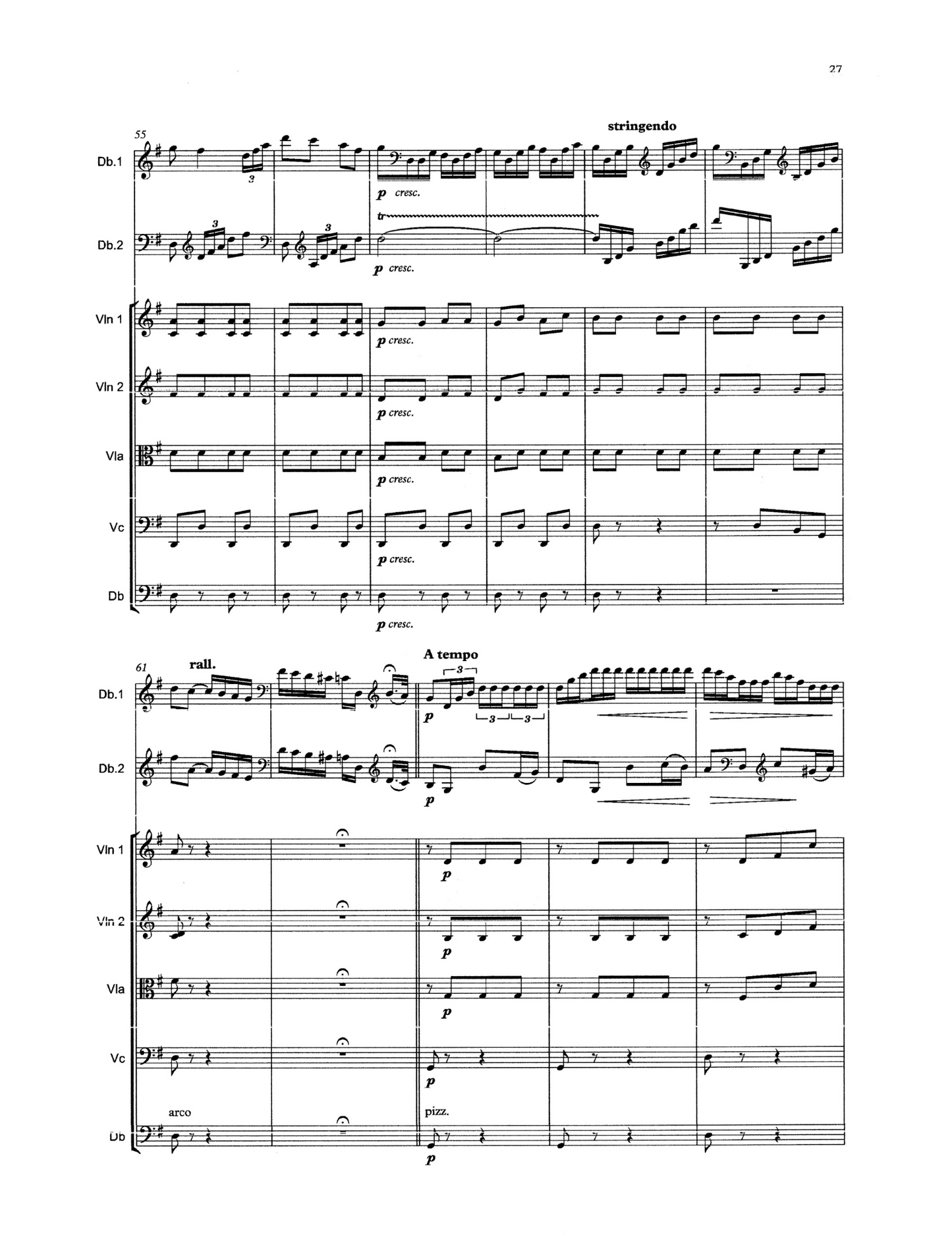 Bottesini: Passione Amorosa for 2 double basses & string orchestra (Orchestral Tuning)