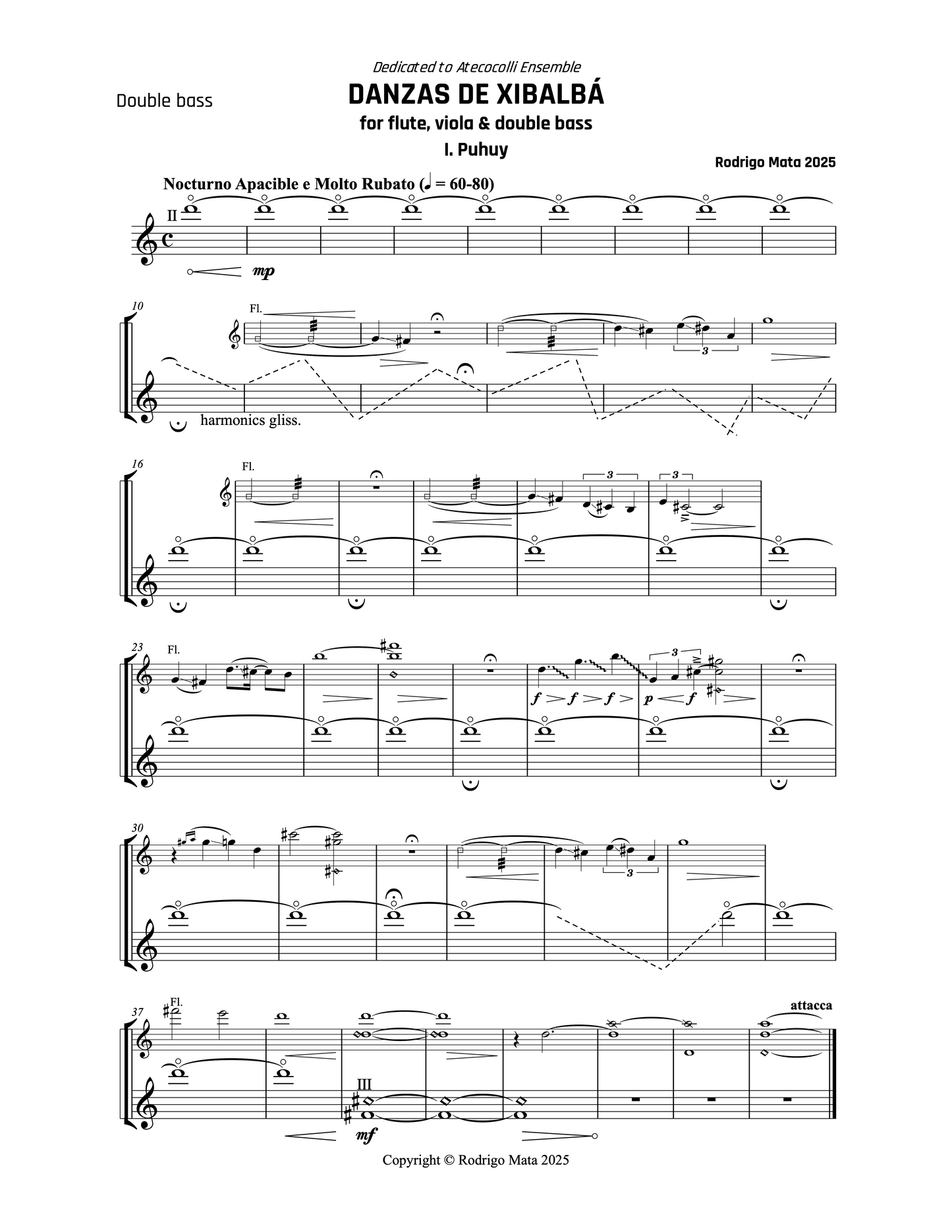 Rodrigo Mata: Danzas de Xibalbá for flute, viola and double bass