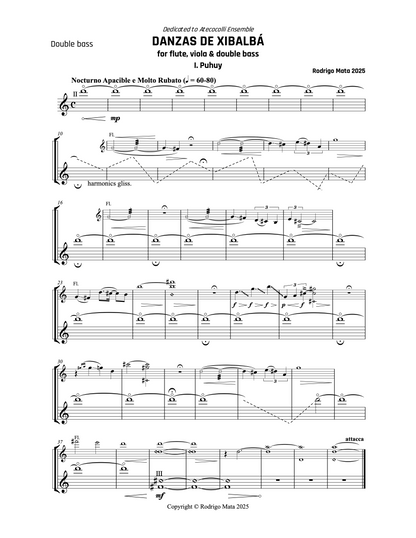 Rodrigo Mata: Danzas de Xibalbá for flute, viola and double bass