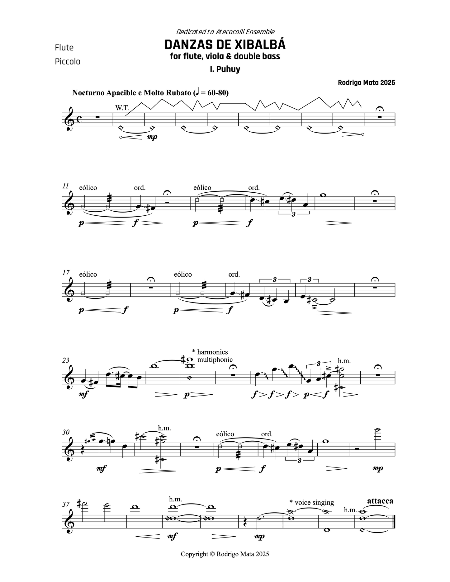 Rodrigo Mata: Danzas de Xibalbá for flute, viola and double bass