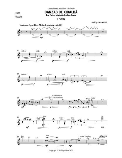 Rodrigo Mata: Danzas de Xibalbá for flute, viola and double bass