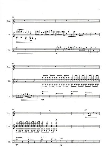 Jonathan Priestley: Nothing Changes! for guitar, soprano, & double bass