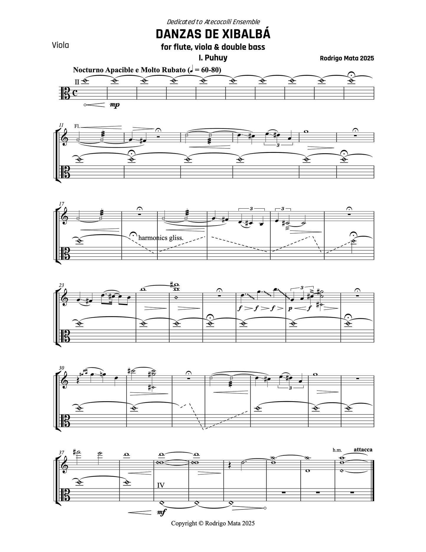 Rodrigo Mata: Danzas de Xibalbá for flute, viola and double bass