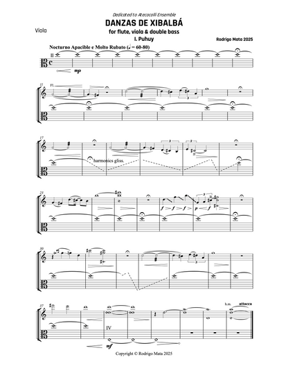Rodrigo Mata: Danzas de Xibalbá for flute, viola and double bass