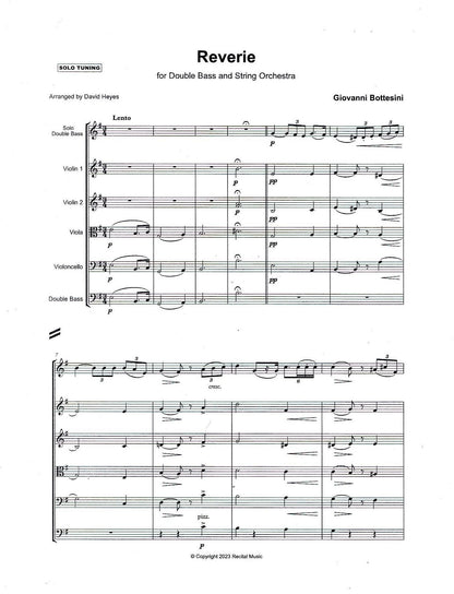 Bottesini: Reverie for double bass & string orchestra (Solo Tuning)