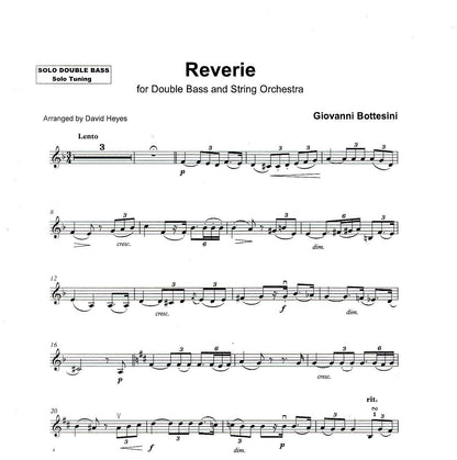 Bottesini: Reverie for double bass & string orchestra (Solo Tuning)