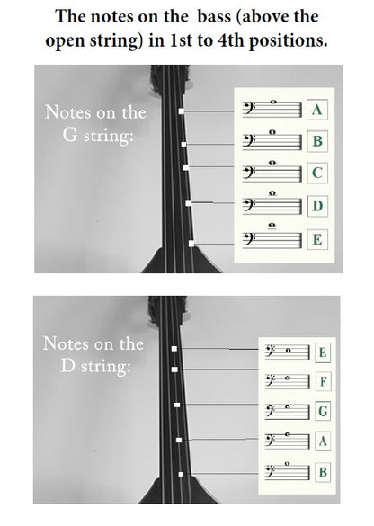 Michael Montgomery: Sight Reading for Double Bass Students
