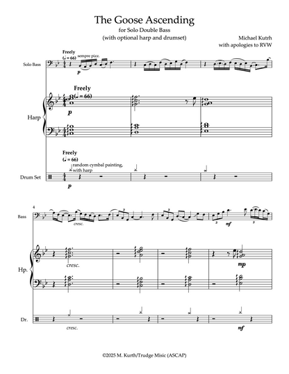 Michael Kurth: The Goose Ascending for Solo Pizzicato Double Bass