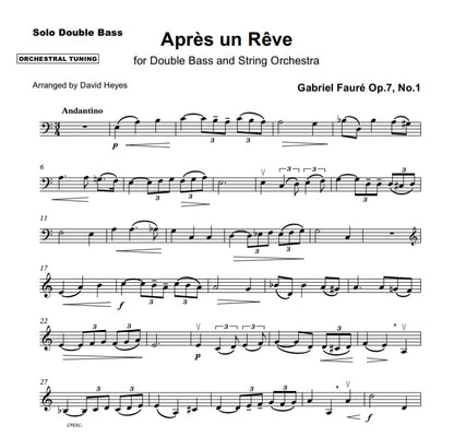 Gabriel Fauré: Après un Rêve for double bass & string orchestra (arr. David Heyes)