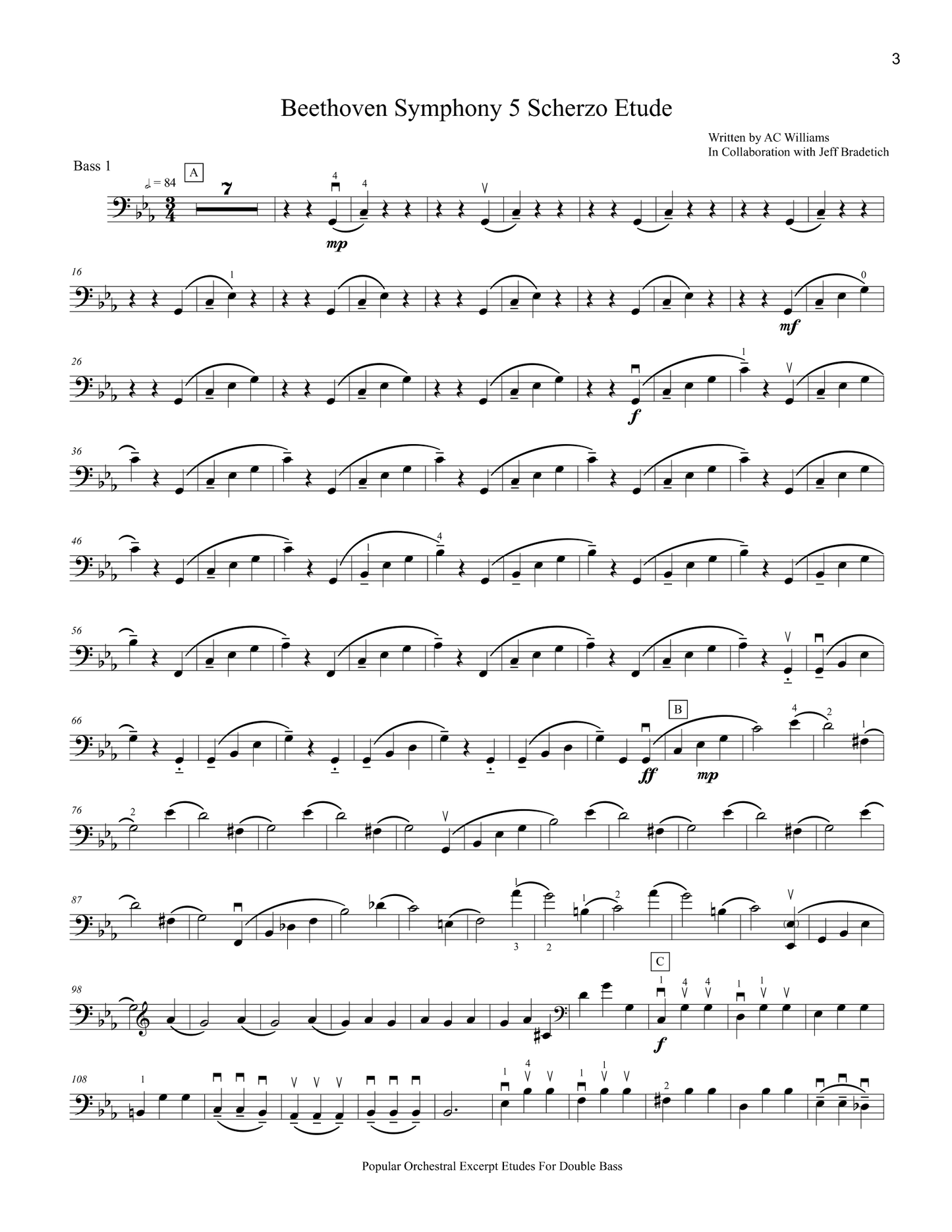 Williams and Bradetich: Popular Orchestral Excerpt Etudes For Double Bass: Standard Packet