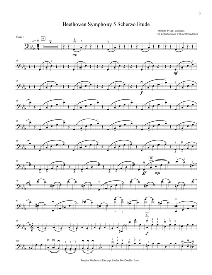 Williams and Bradetich: Popular Orchestral Excerpt Etudes For Double Bass: Standard Packet