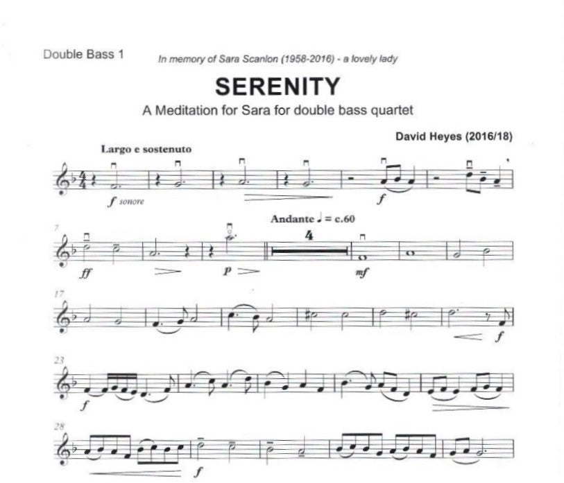 David Heyes - Serenity: a Meditation for Sara for double bass quartet