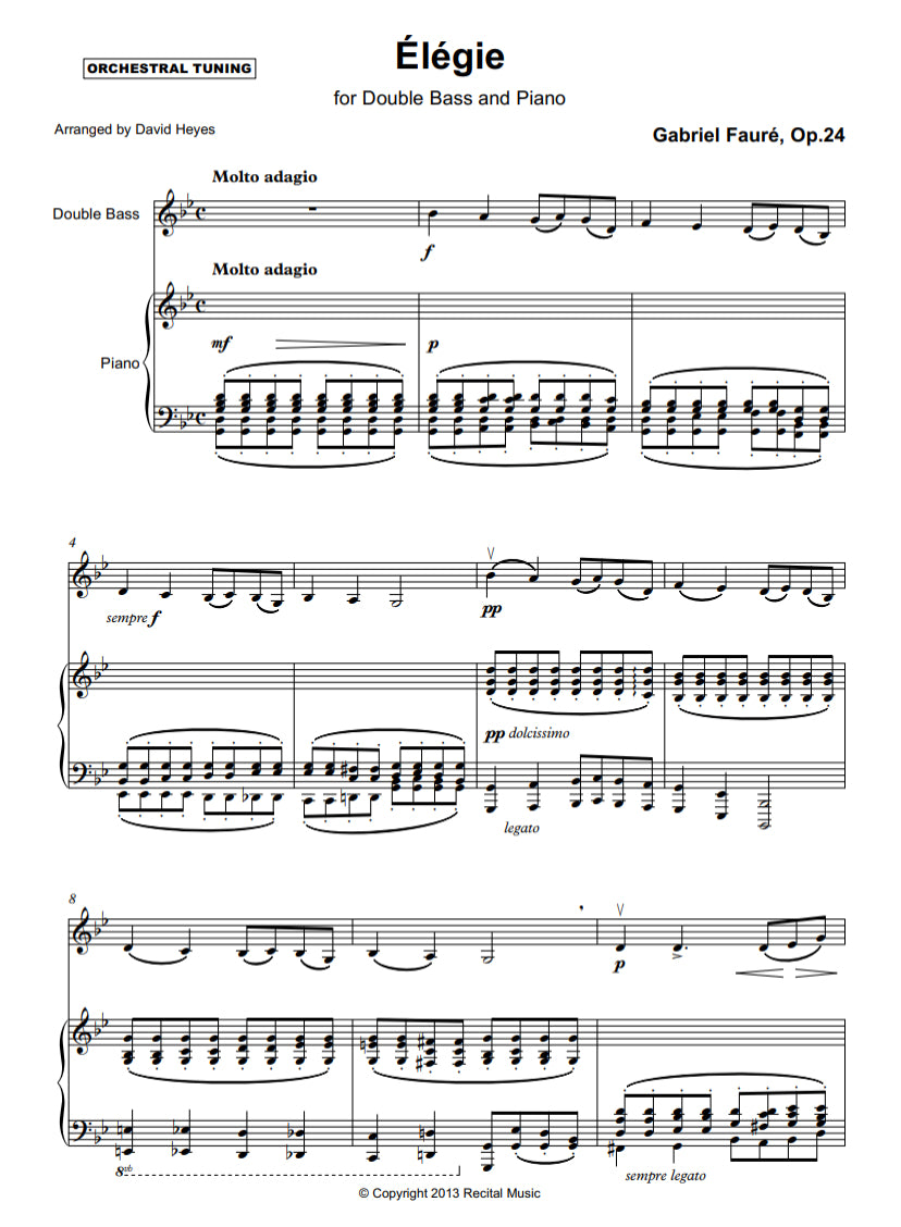 Gabriel Fauré: Élégie Op.24 for double bass & piano (arranged by David Heyes)