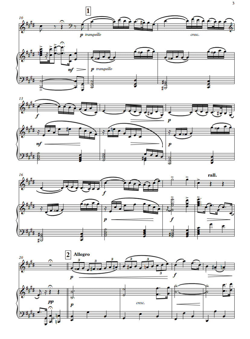 Rudolf Tuláček: Concerto in C sharp minor for double bass & piano (solo tuning)