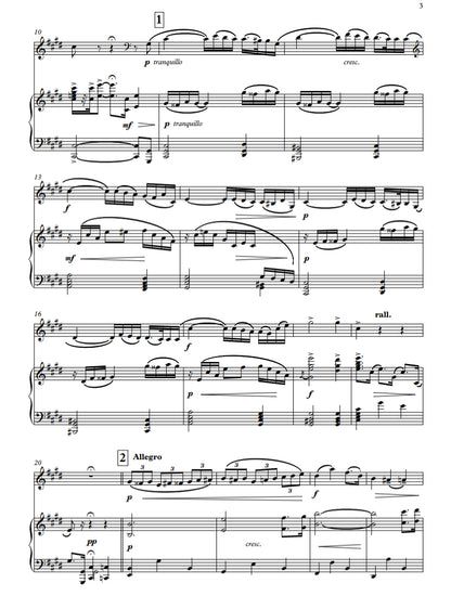 Rudolf Tuláček: Concerto in C sharp minor for double bass & piano (solo tuning)