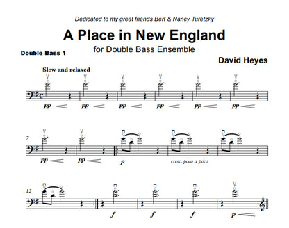 David Heyes: A Place in New England for double bass sextet