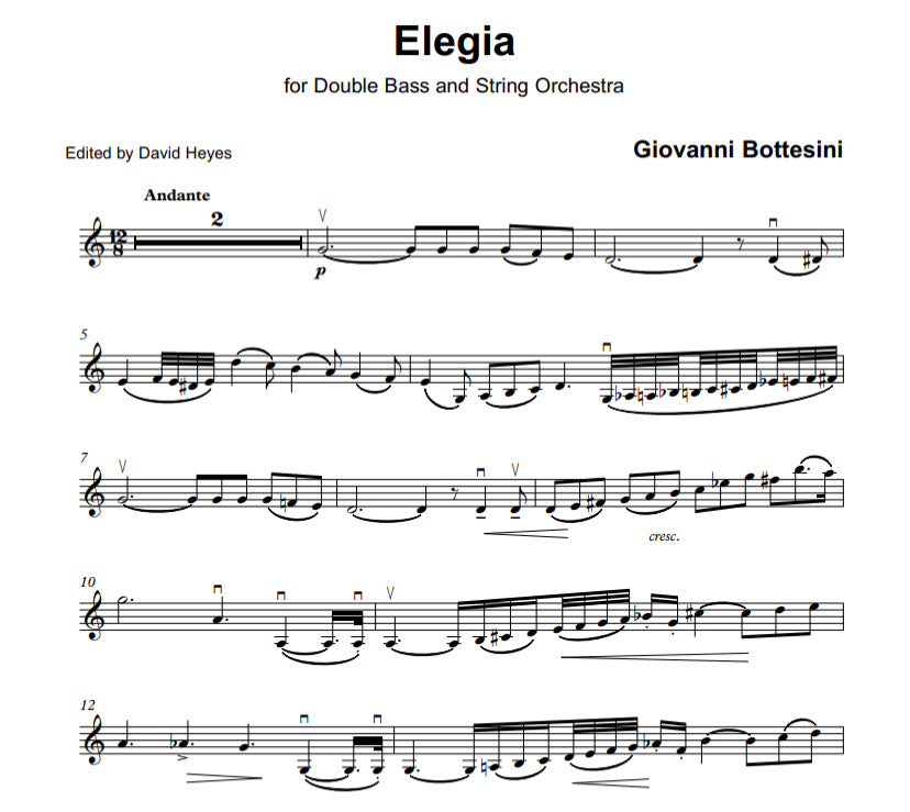 Giovanni Bottesini: Elegia for double bass & string orchestra (Orch Tuning)