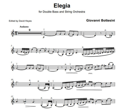 Giovanni Bottesini: Elegia for double bass & string orchestra (Orch Tuning)