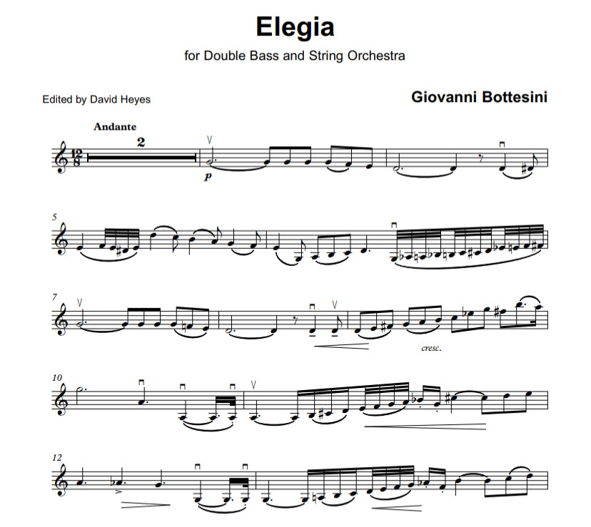 Giovanni Bottesini: Elegia for double bass & string orchestra (Solo Tuning)