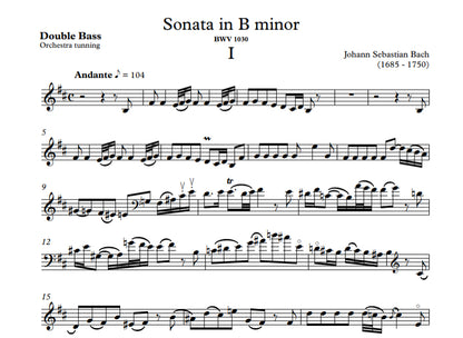 J.S. Bach: Sonata in B Minor for double bass and piano, BWV 1030 (Soteldo)