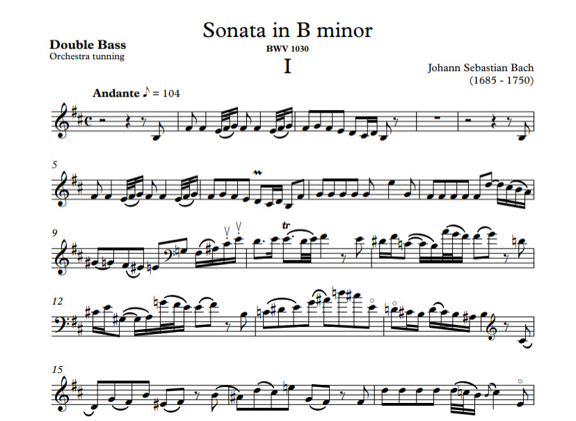 J.S. Bach: Sonata in B Minor for double bass and piano, BWV 1030