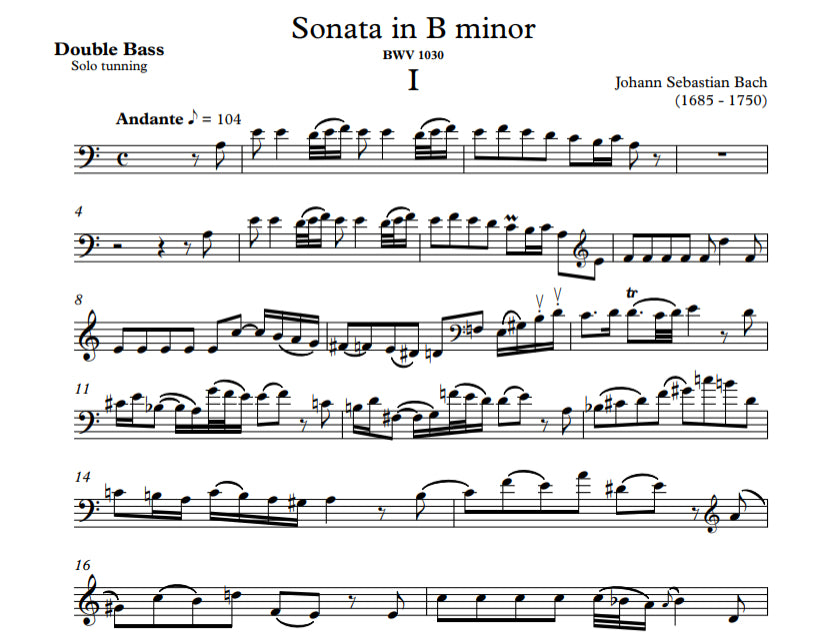 J.S. Bach: Sonata in B Minor for double bass and piano, BWV 1030 (Soteldo)