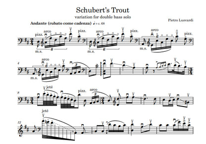 Pietro Lusvardi: Schubert's Trout for solo double bass